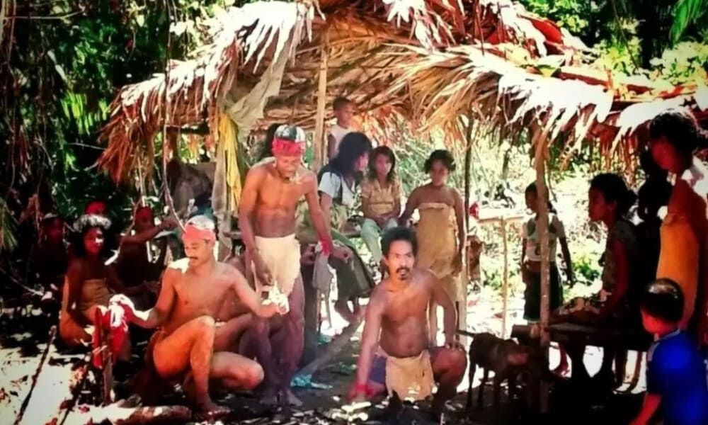 Suku Togutil Merupakan Penjaga Hutan Halmahera
